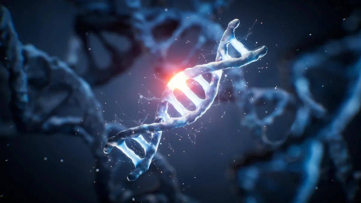 Gène FNIP1 : comprendre la mutation rare qui protège du diabète et des maladies du cœur
