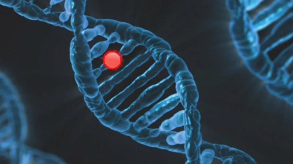 dna