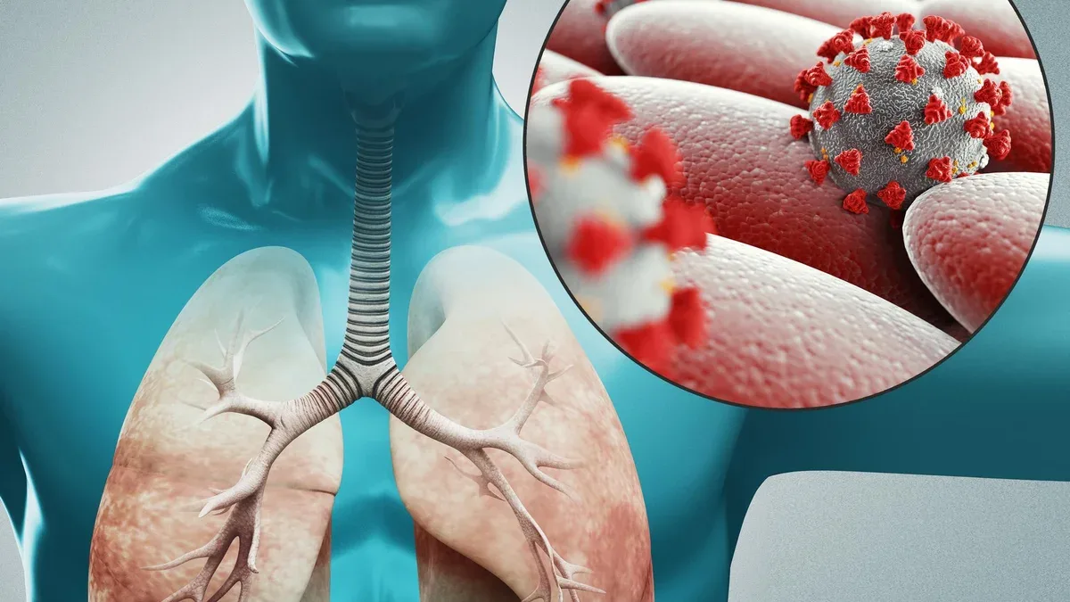 Vue rapprochée de l'anatomie