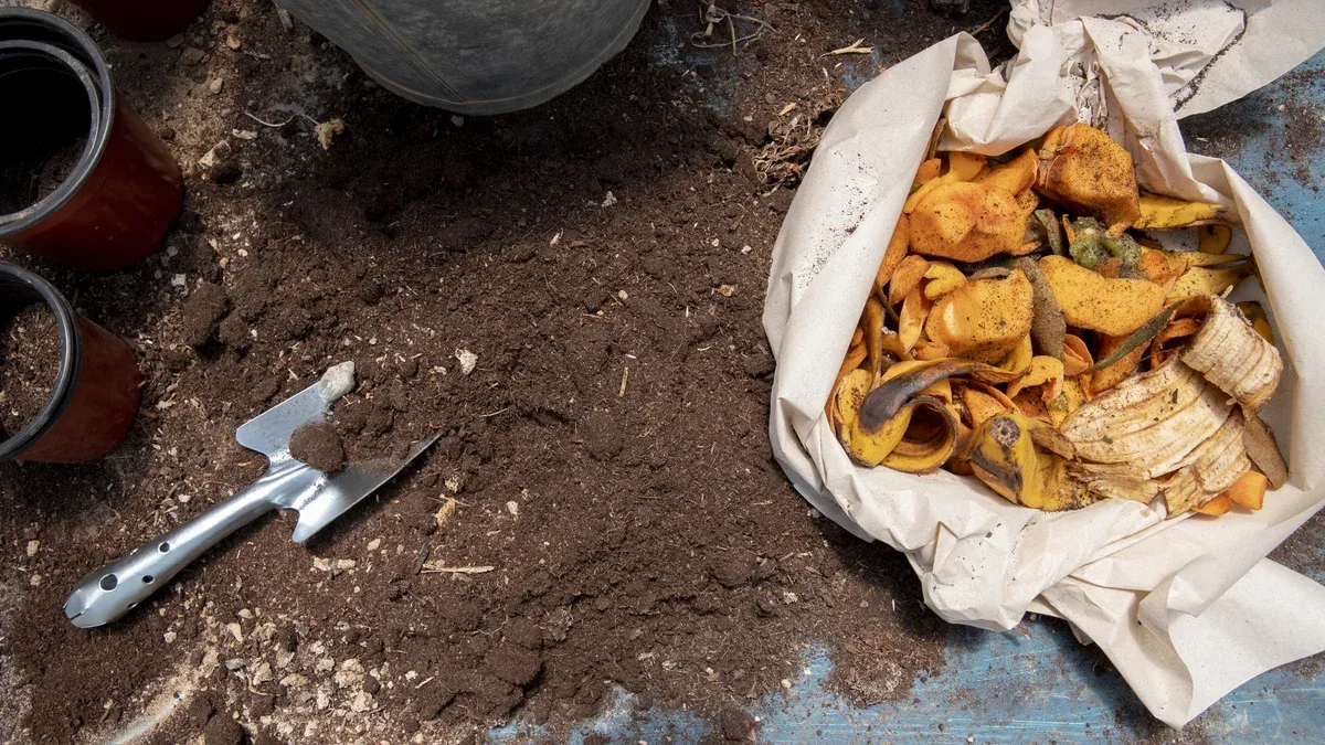 Le concept de la nature morte du compost