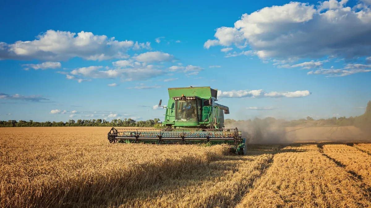 Combine de récolte dans le champ