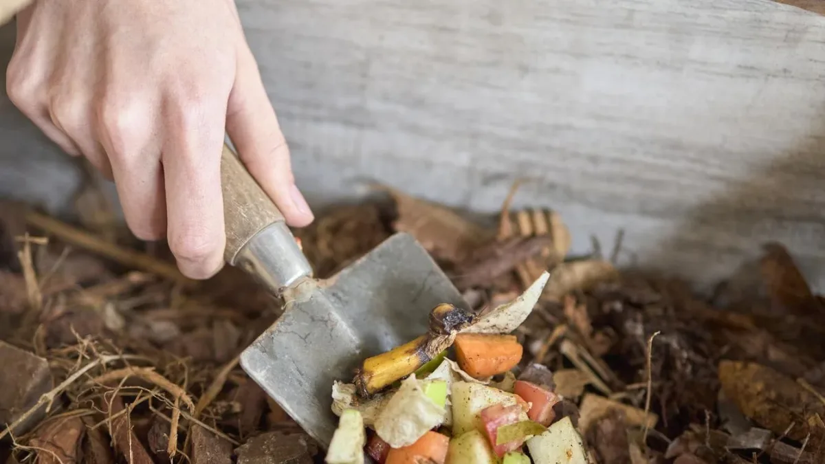 Le compost est-il obligatoire ? Ce que la loi impose vraiment sur les biodéchets