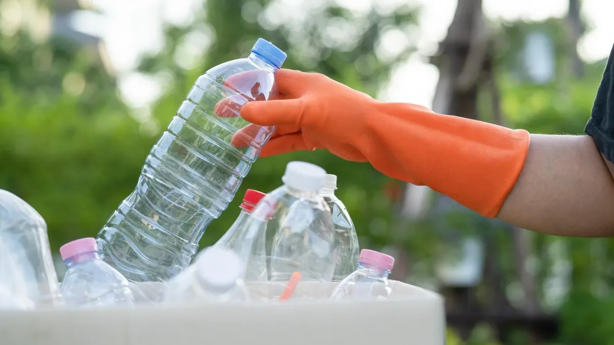 Consigne des bouteilles plastique : la France en collecte 58 %, où passent les 42 % restants ?
