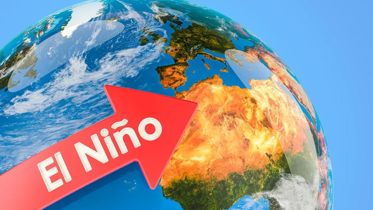 El Niño et Corne de l’Afrique : une prévision à 80 % de pluies déficitaires
