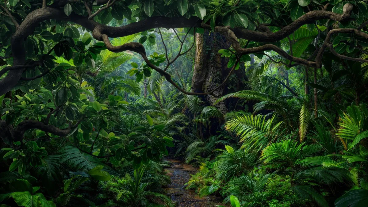 Laisser une forêt tropicale repousser seule : pourquoi cela coûte jusqu’à 96 % de moins