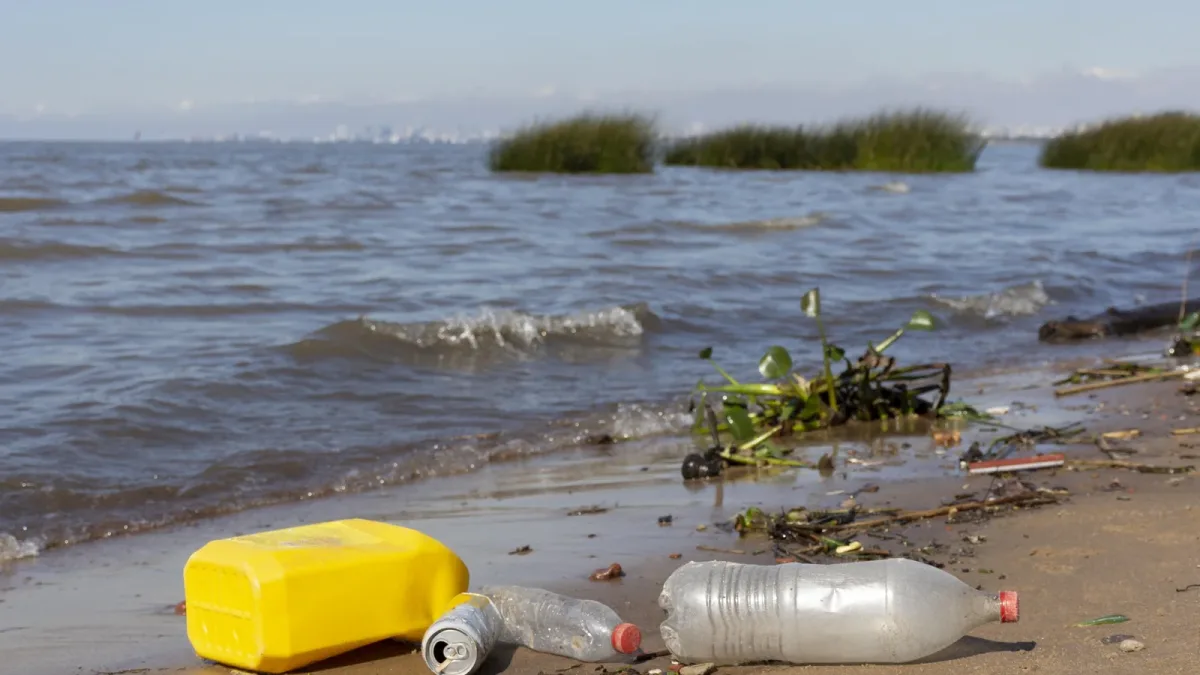 Pollution de l’eau et bilharziose : pourquoi le polluant agit d’abord sur l’escargot