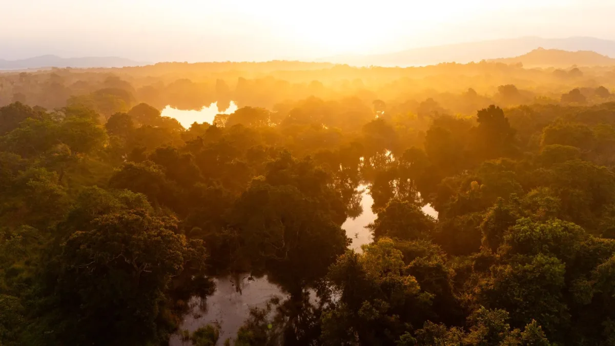 Amazonie : la chaleur extrême progresse le plus vite loin des zones déboisées