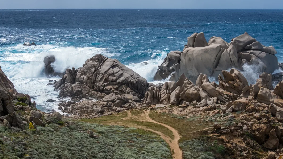 Montée de la mer : pourquoi les vasières du littoral ne peuvent pas reculer devant l’eau