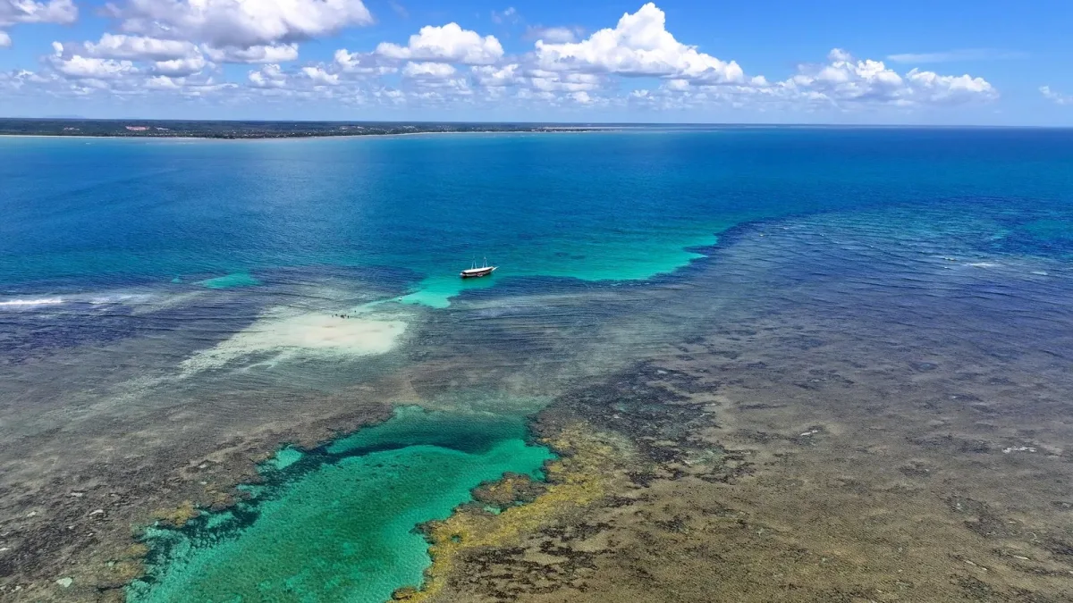 Océan Austral : pourquoi il pourrait relâcher du CO₂ une fois les émissions arrêtées