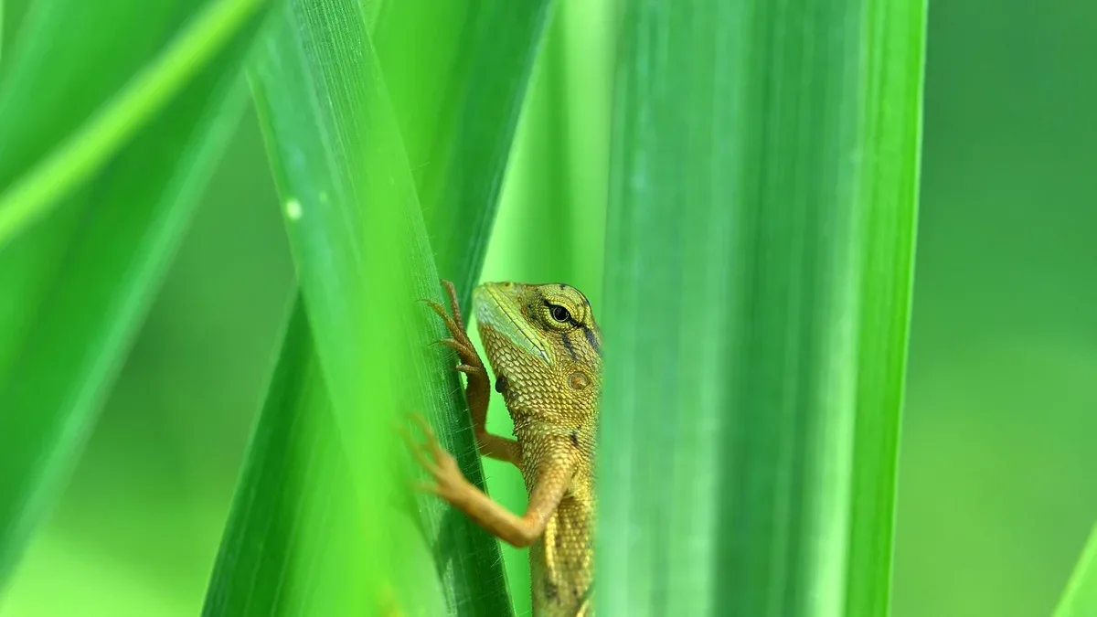 Petit lézard camouflé parmi des feuilles vertes éclatantes
