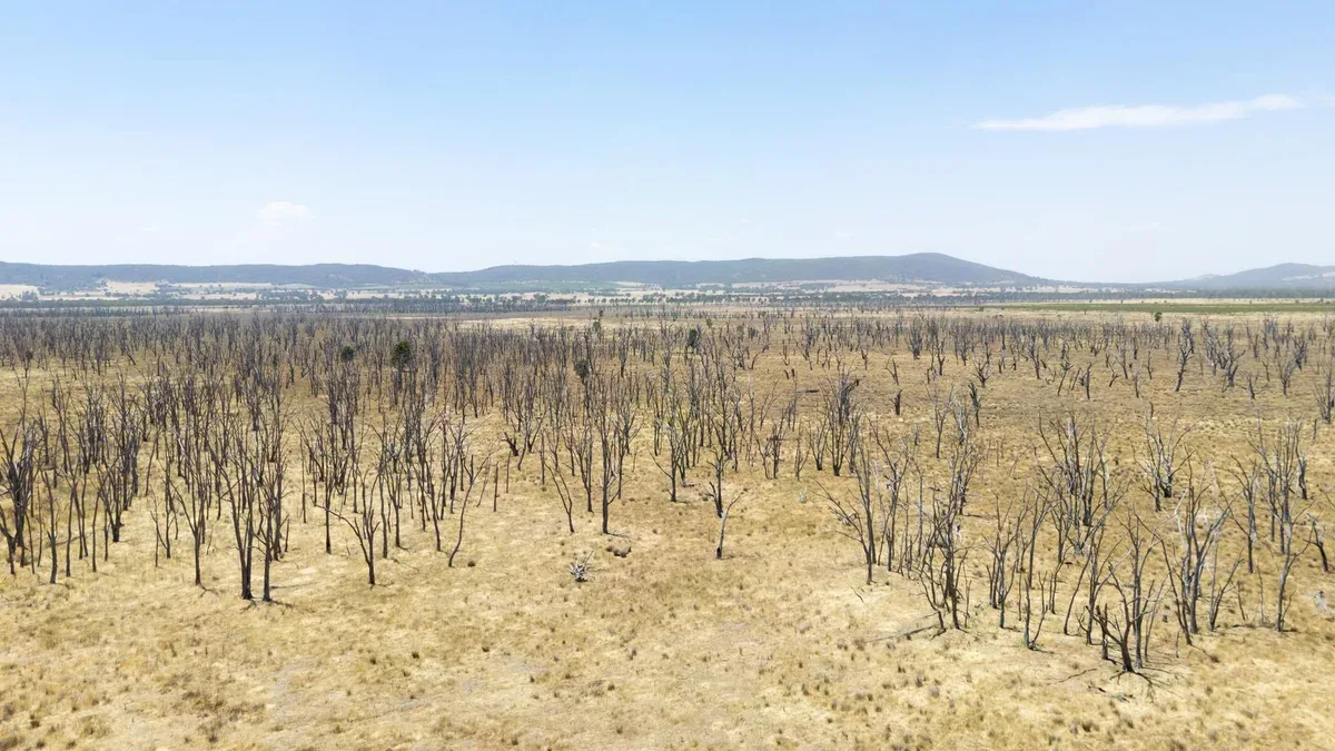 Zones humides de Winton en Victoria, Australie.