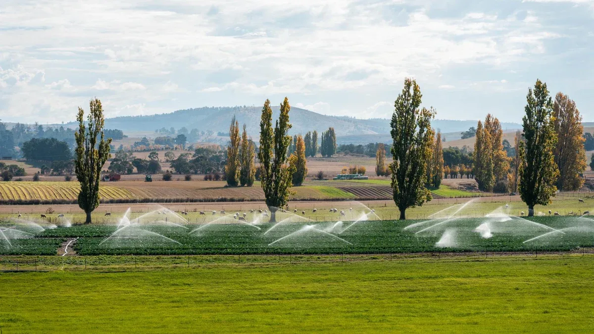 culture de légumes dans un champ irrigation avec de l'eau d'une rivière arrosage et production de nourriture dans une ferme en Australie