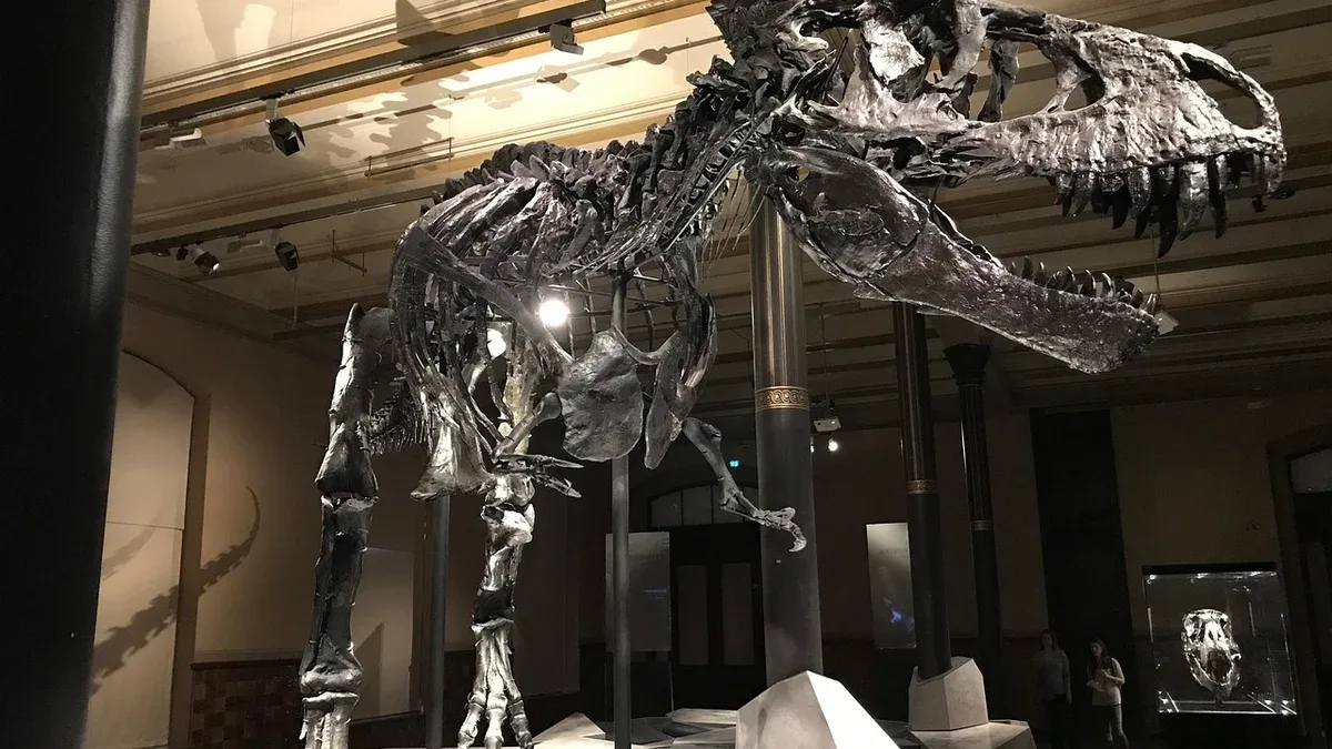 dinosaur