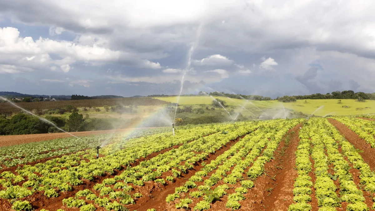 Loi d’urgence agricole et eau : stockage, retenues, SAGE, les règles qui changent depuis août 2026