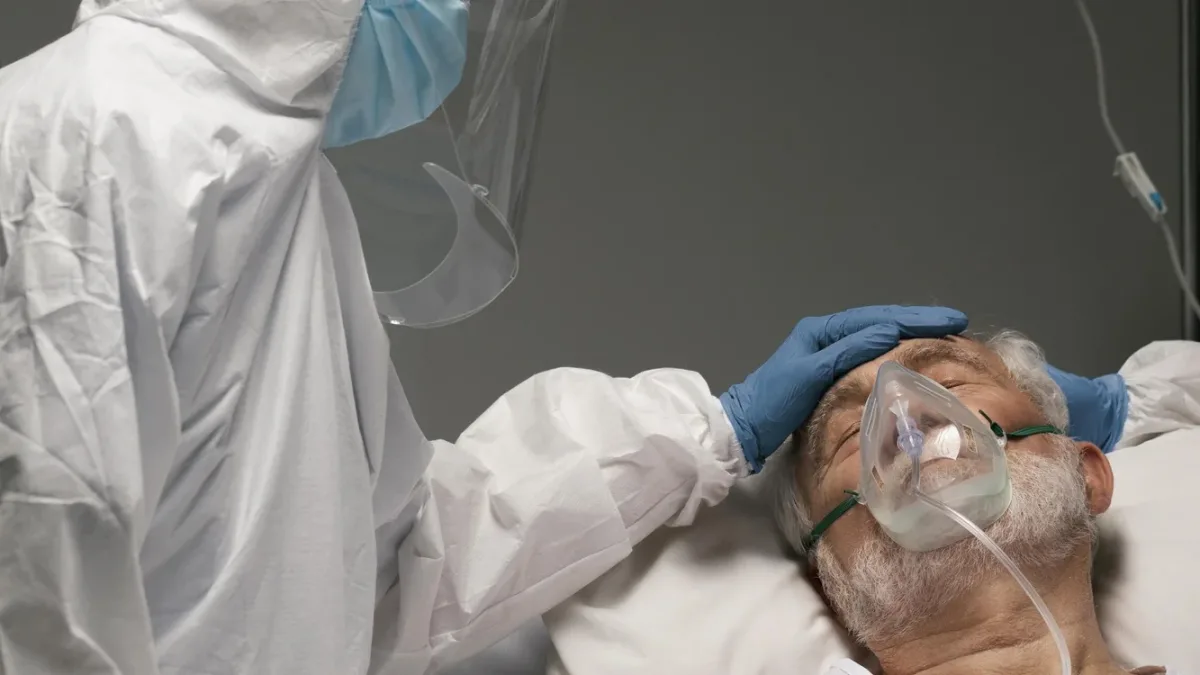 Peste : comment elle se transmet, pourquoi les antibiotiques la guérissent et quel risque en Europe