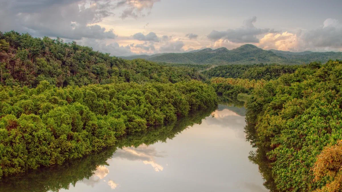 Rivière tropicale