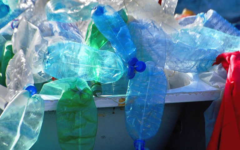 Le chanvre est-il une alternative durable aux plastiques conventionnels ?