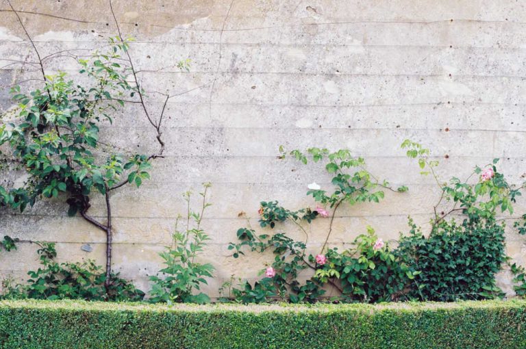 D&eacute;couvrez ces id&eacute;es de murs de jardin qui cr&eacute;ent une impression sensationnelle