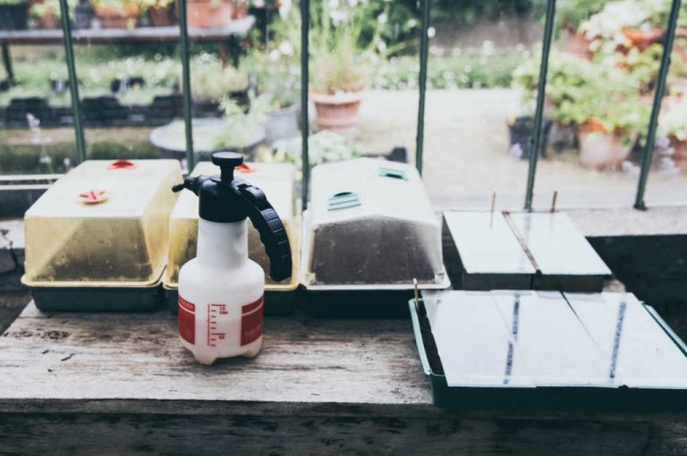 Comment pr&eacute;parer un d&eacute;sherbant naturel ?