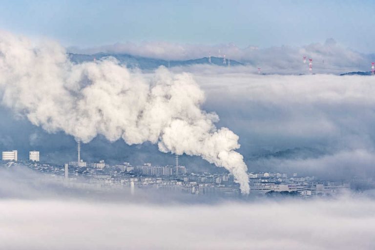 Comment le compostage ralentit le changement climatique?
