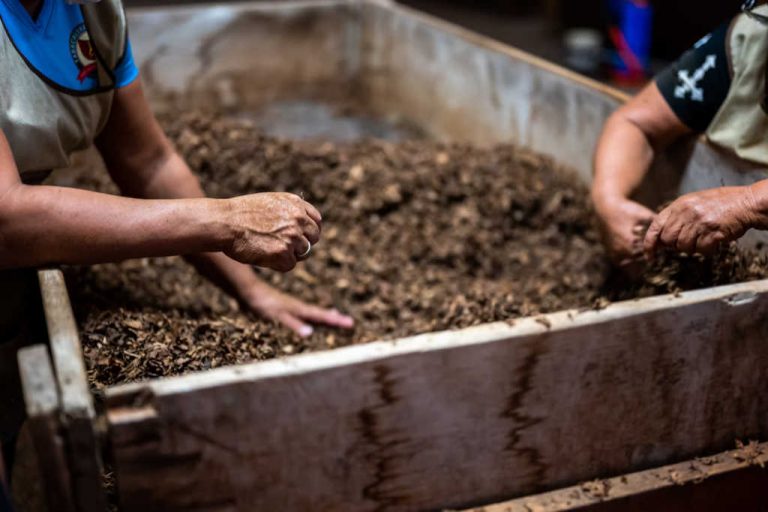 L&rsquo;&eacute;limination de l&rsquo;odeur d&rsquo;un bac &agrave; compost